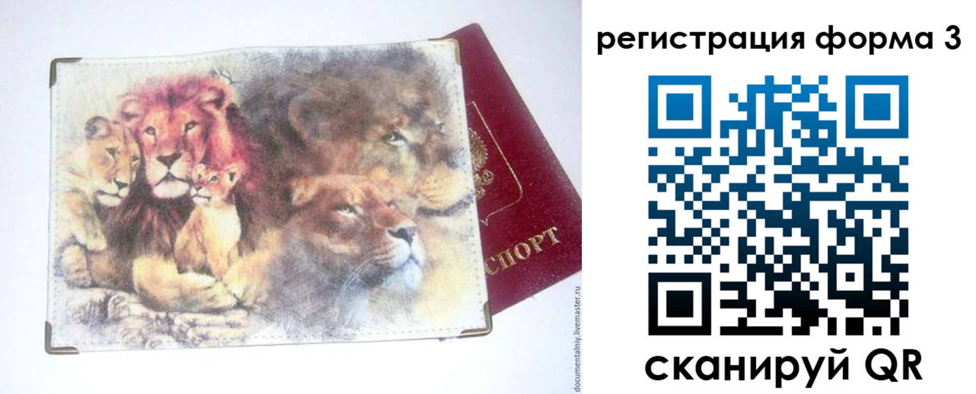 прописка в квартире в Корсакове